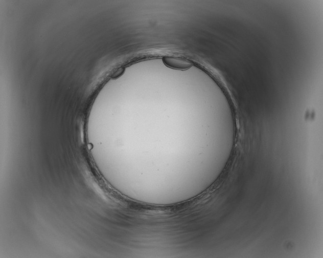 X0000111050061200906251129