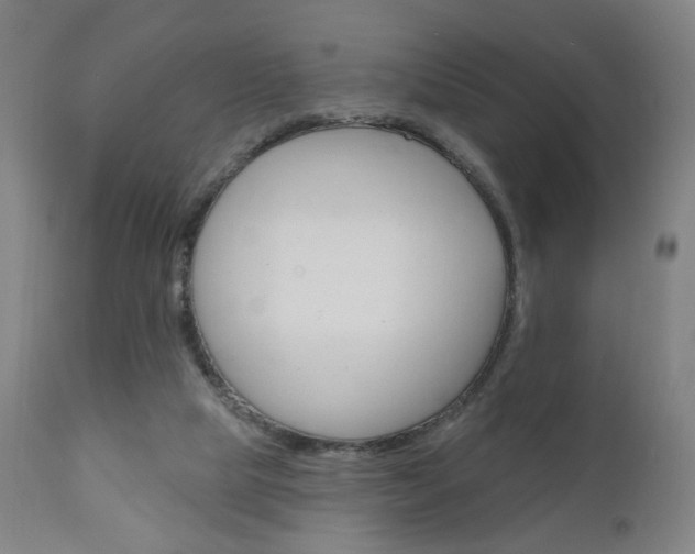 X0000111050065200906251129