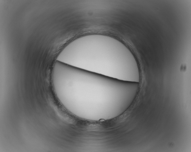 X0000111050066200906251130