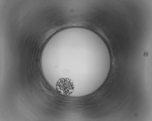 X0000111050068200906251130