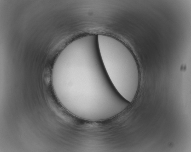 X0000111050069200906251130