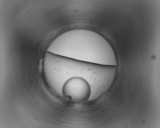 X0000111050070200906251130