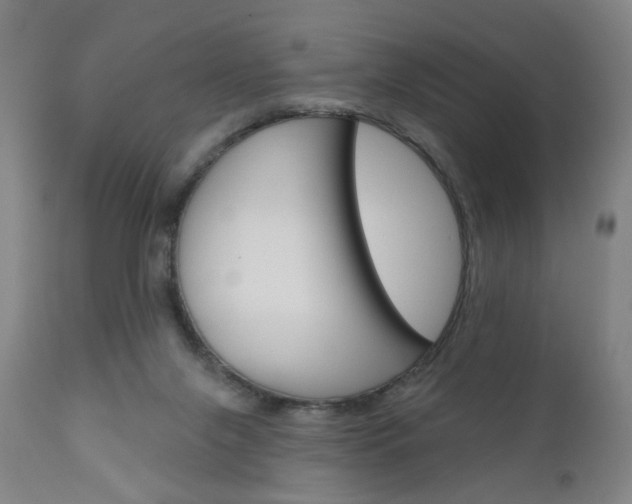 X0000111050071200906251130