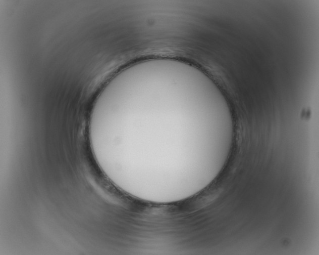 X0000111050072200906251130