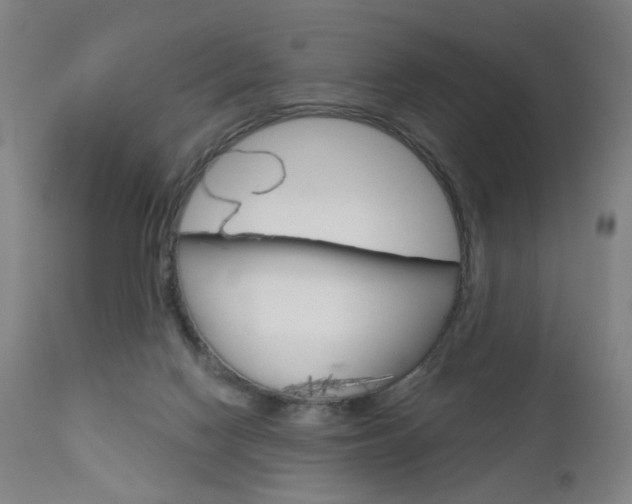 X0000111050074200906251130