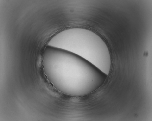 X0000111050076200906251130