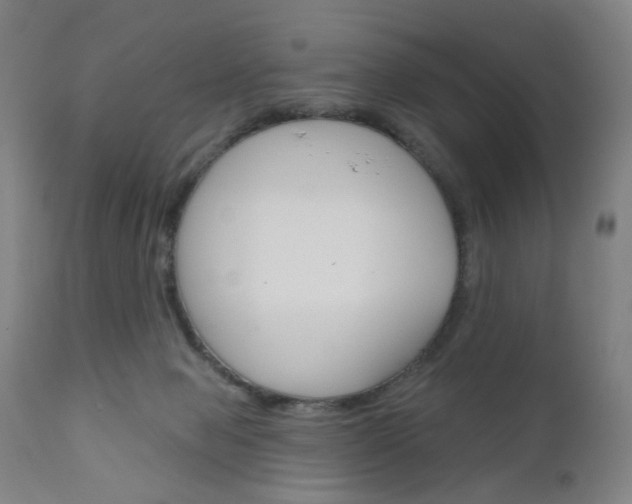 X0000111050077200906251130
