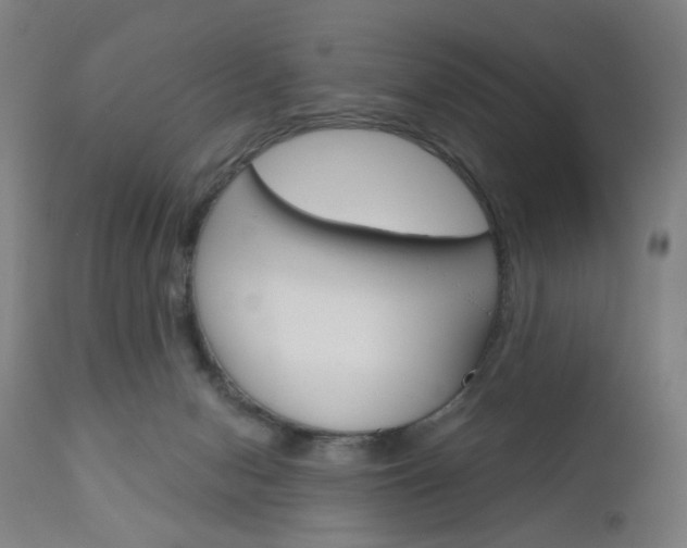 X0000111050078200906251130