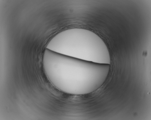 X0000111050082200906251130