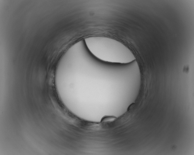 X0000111050083200906251130