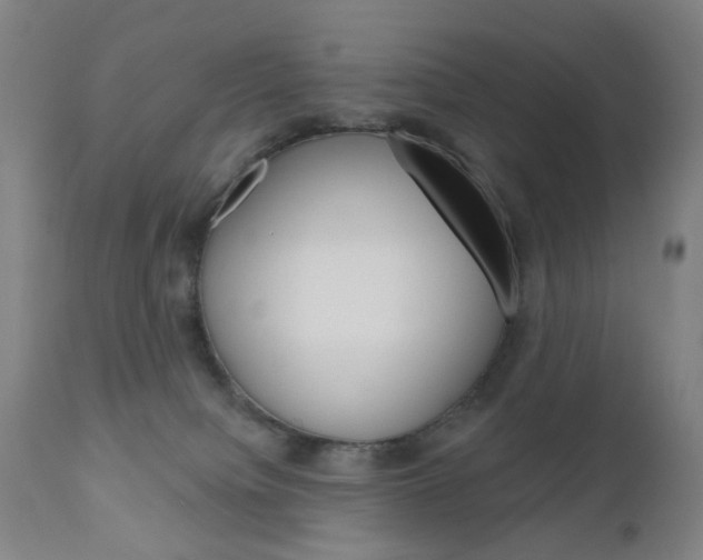 X0000111050084200906251130