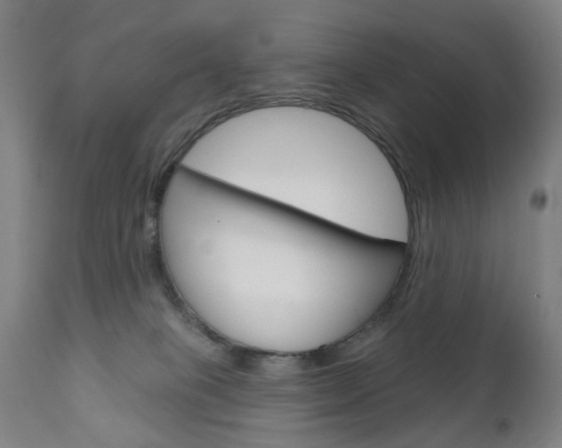 X0000111050085200906251130