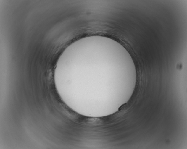 X0000111050087200906251130