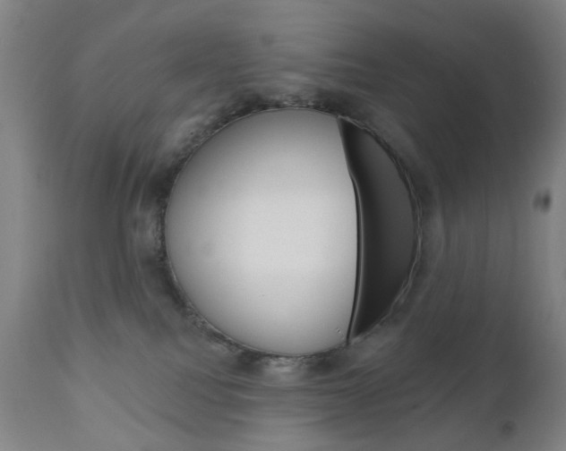 X0000111050088200906251130