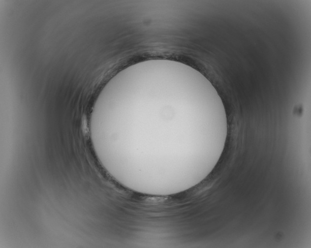 X0000111050089200906251130