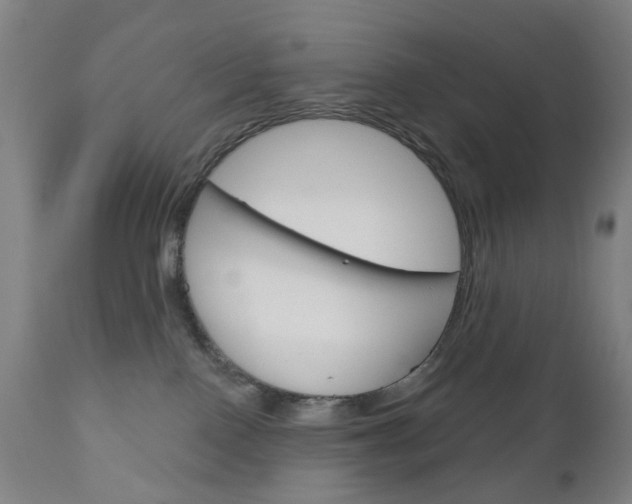 X0000111050090200906251130