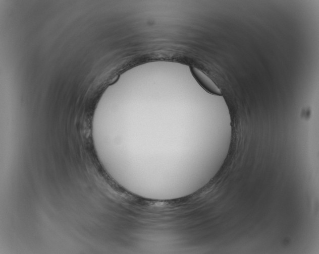 X0000111050091200906251130