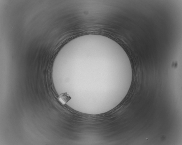 X0000111050092200906251130