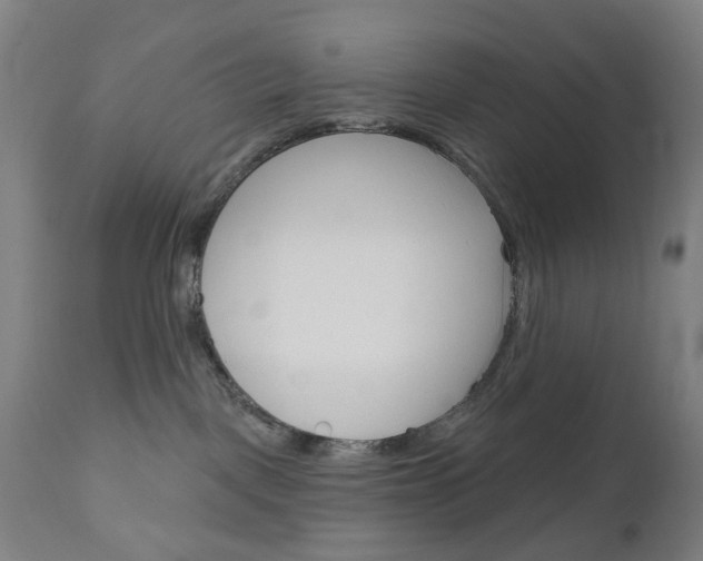 X0000111050093200906251130