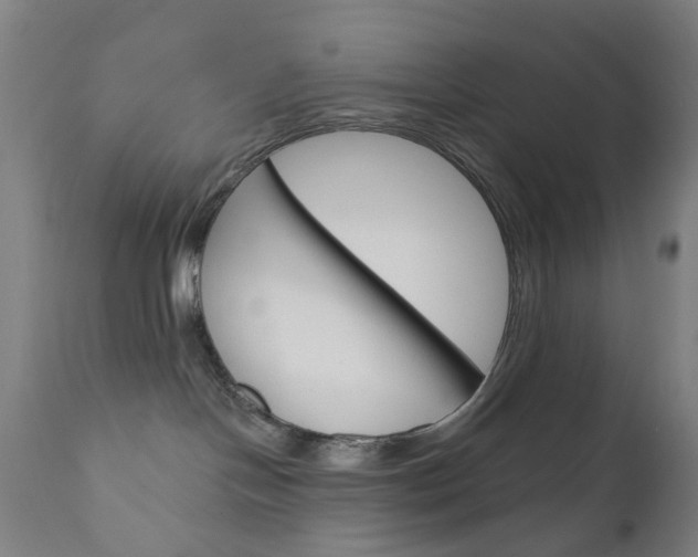 X0000111050094200906251130