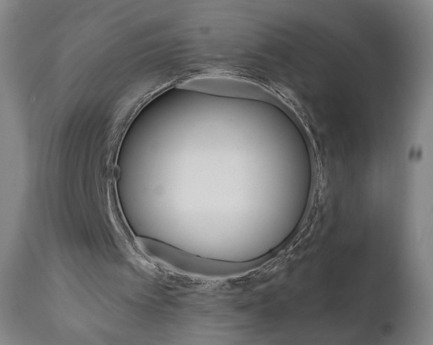X0000111050097200906251129