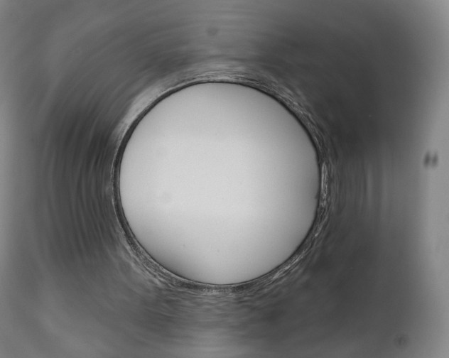 X0000111050099200906251129