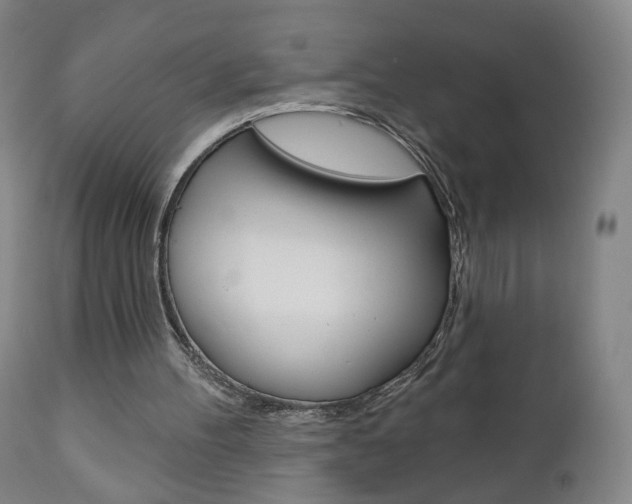 X0000111050100200906251129