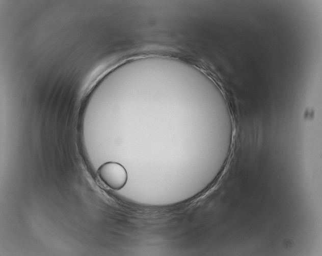 X0000111050101200906251129