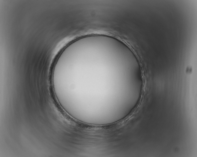X0000111050104200906251129
