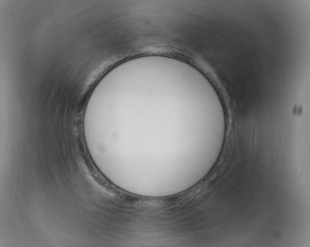X0000111050106200906251129