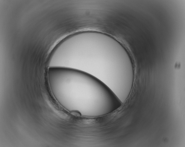 X0000111050108200906251129