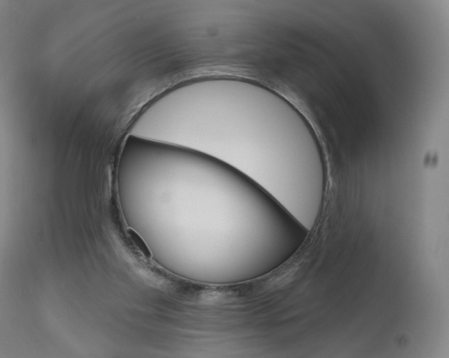 X0000111050109200906251129