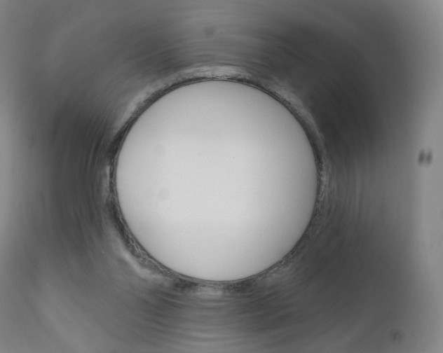 X0000111050110200906251129