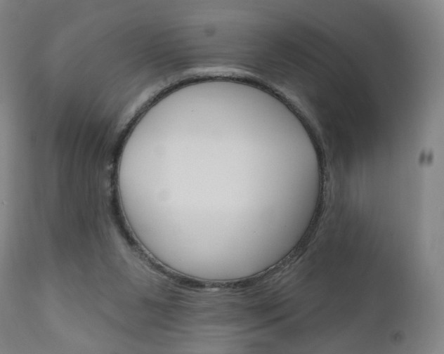 X0000111050111200906251129