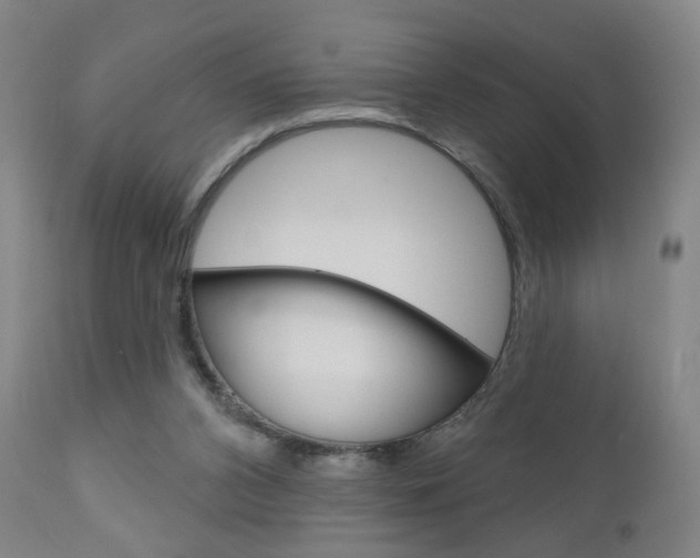 X0000111050112200906251129