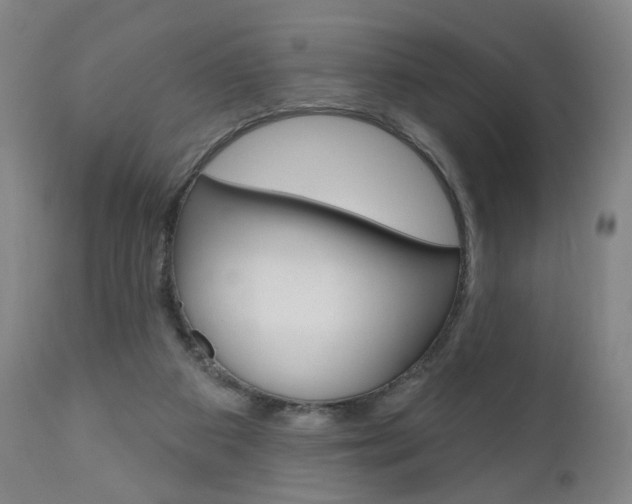 X0000111050113200906251129