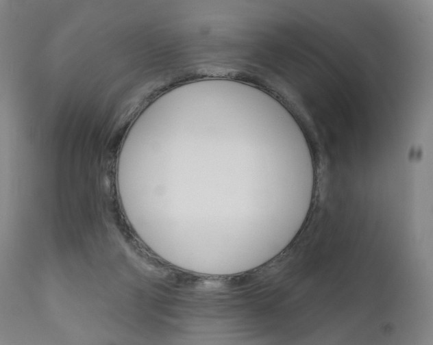 X0000111050114200906251129