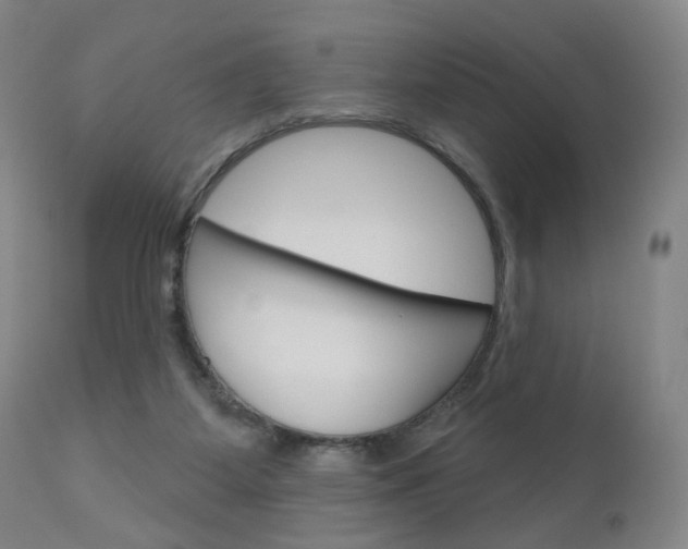 X0000111050115200906251129