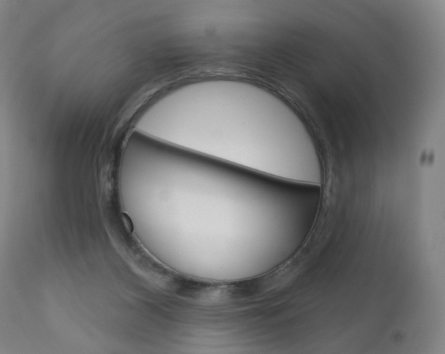 X0000111050116200906251129