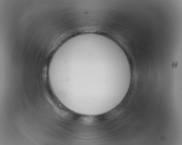 X0000111050118200906251129