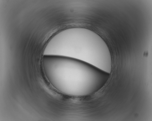 X0000111050120200906251129