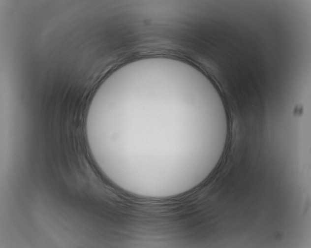 X0000111050121200906251129