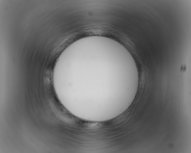 X0000111050122200906251129