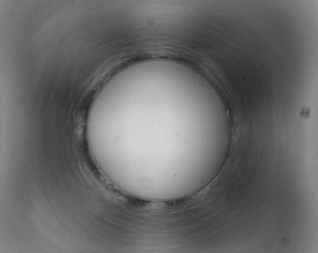 X0000111050124200906251129