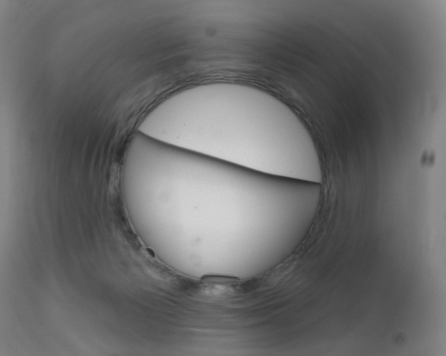 X0000111050125200906251129