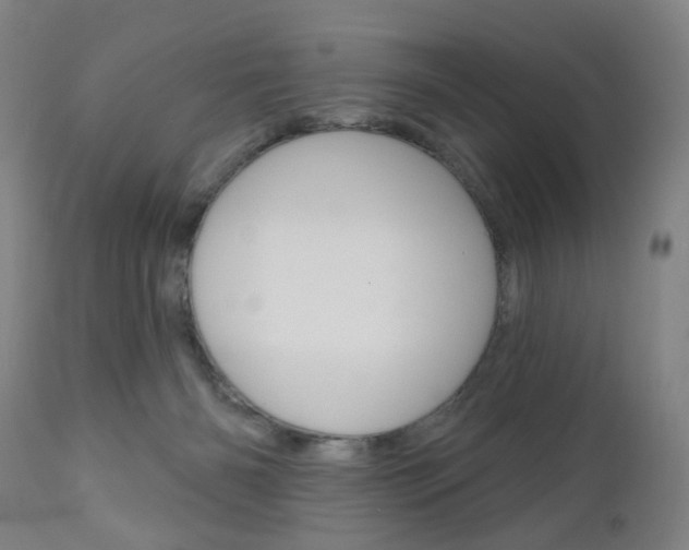 X0000111050126200906251129
