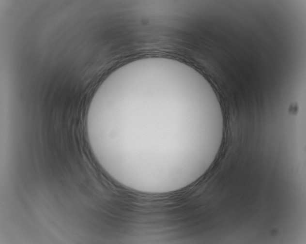X0000111050129200906251129