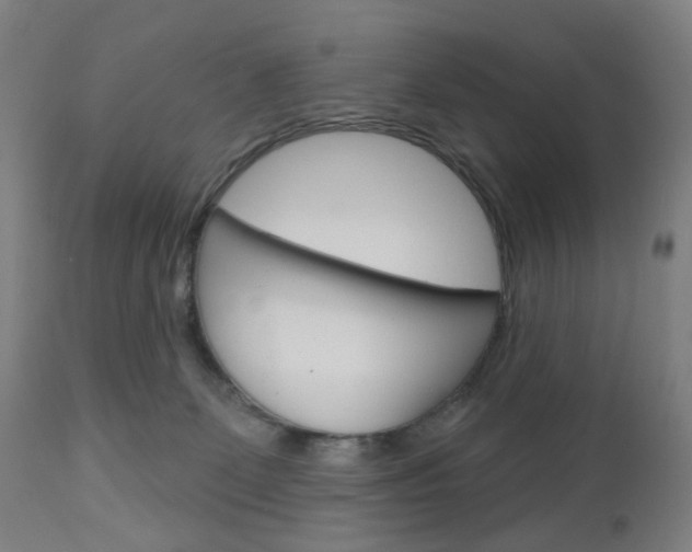 X0000111050131200906251129