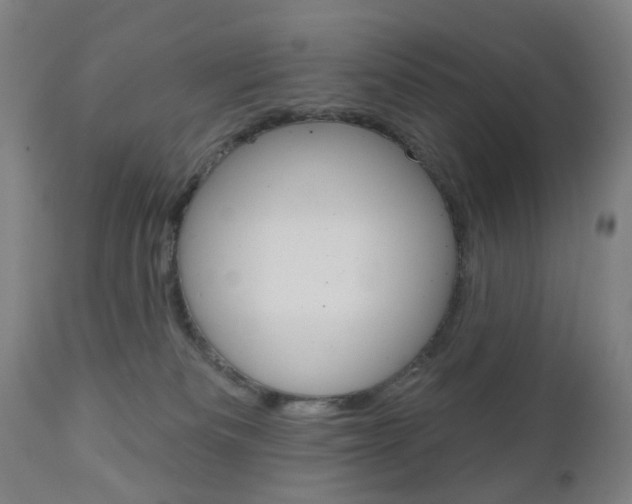 X0000111050133200906251129