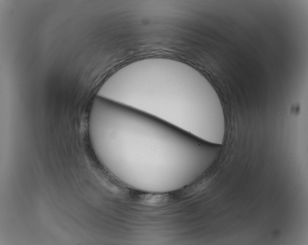 X0000111050135200906251129
